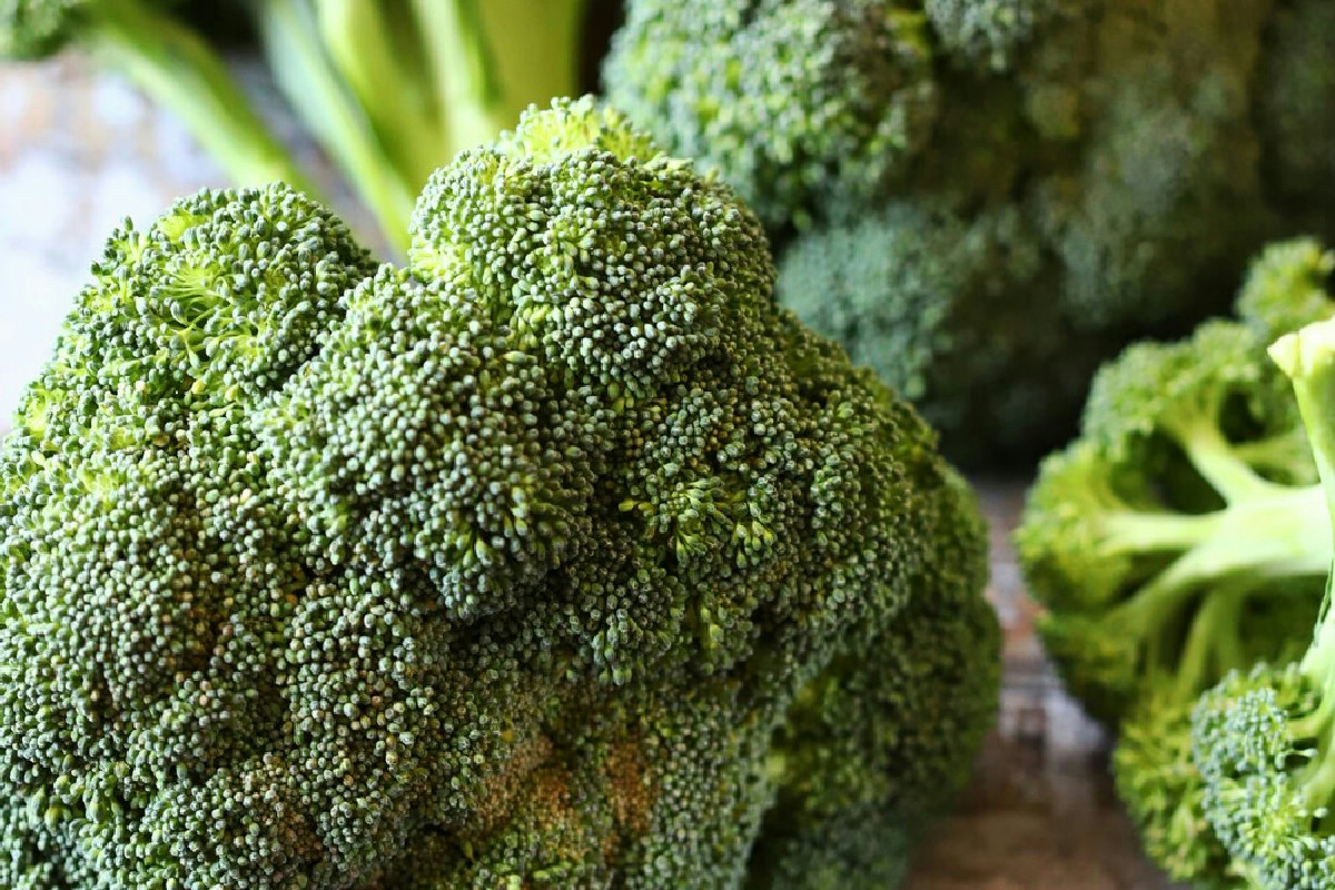 Broccoli, il segreto che cambia tutto: non li cucinerete mai più come prima - Gustolandia